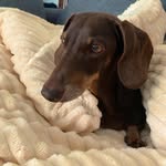 Thomas Greif - @thomas257026 - Instagram