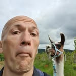 Thomas Greif - @storckgrix2 - Instagram