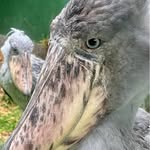 Thomas Greve - @flumo_kamarra - Instagram
