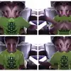 tom and Pete - @thomasgreve1 - TikTok