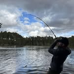 Thomas Grieve - @tomlifts101 - Instagram