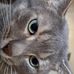 Thomas Grieve - Facebook