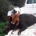 Thomas Grimaldi - Facebook