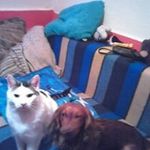Thomas Grimm - @thomas.grimm.3114 - Instagram