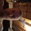 thomasgrinnell671 - @thomasgrinnell671 - TikTok