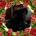 Tom Grinnell - Facebook