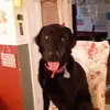 Thomasgrist65879 - @thomasgrist65879 - TikTok