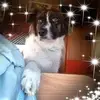 thomasgroppiivana - @thomasgroppiivana - TikTok
