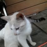@thomasguillory160 - Instagram