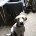 Tom Gullickson - Facebook