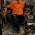 Tom Gullickson - Facebook