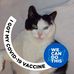 Thomas Gullo - Facebook