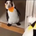 Thomas gwynn - @thomas_g3437 - Instagram