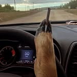 Thomas Gwynne - @gwynne_thomas - Instagram