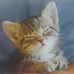 Thomas Haar - Facebook