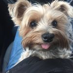 Thomas Haar - @haar.thomas - Instagram
