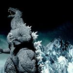 Thomas Hackbarth - @thomashackbarth50 - Instagram