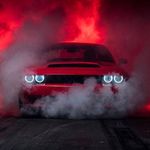 Thomas Haddad - @thomashaddad961 - Instagram
