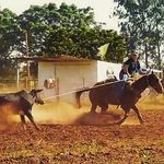 Thomas haddad - @thomas.haddad.01 - Instagram