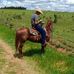 Thomas Haddad - Facebook