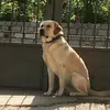 Thomas Haddad - @thomas.haddad - TikTok
