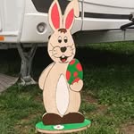 Thomas Hafner - @thomas.hafner.142 - Instagram