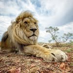 Thomas Hafner - @dr.jones948 - Instagram
