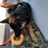 thomas.hafner - @thomas.hafner - TikTok