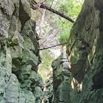 Thomas Hagar - @thomashagarf22 - Instagram