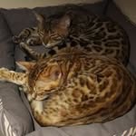 Thomas Hake - @hake.thomas - Instagram