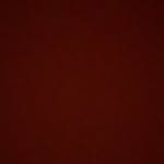 Tom Halbert - @thomashalbert10 - Instagram