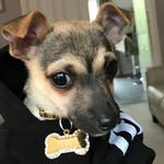 Thomas Hall - @thomas_hall123 - Instagram