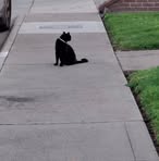 Thomas Hall - Facebook