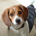 Thomas Hallowell - Facebook