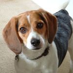 Thomas Hallowell - @gstrdr1966 - Instagram