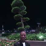 thomas hallowell - @thomas.hallowell - Instagram