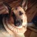Tom Hallowell - Facebook