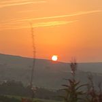 Thomas Halstead - @_thomas.halstead - Instagram
