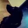 Thomas Halvorsen - @thomashalvorsen11 - TikTok