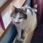 Thomas Hammargren - @thomashammargren44 - Instagram
