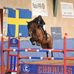 Tomas Hammar - Facebook