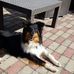 Thomas Hammes - Facebook