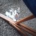 Thomas Hammett - Facebook