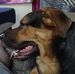 Thomas Hann - Facebook
