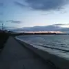 thomashanna858 - @thomashanna858 - TikTok