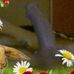 Thomas Hansen - Facebook