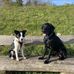 Thomas Hans - Facebook