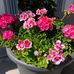 Thomas Hans - Facebook