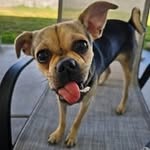 Thomas Lee Harling - @thomasleeharling - Instagram