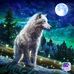 Trevor Douglas Thomas Harmer - Facebook